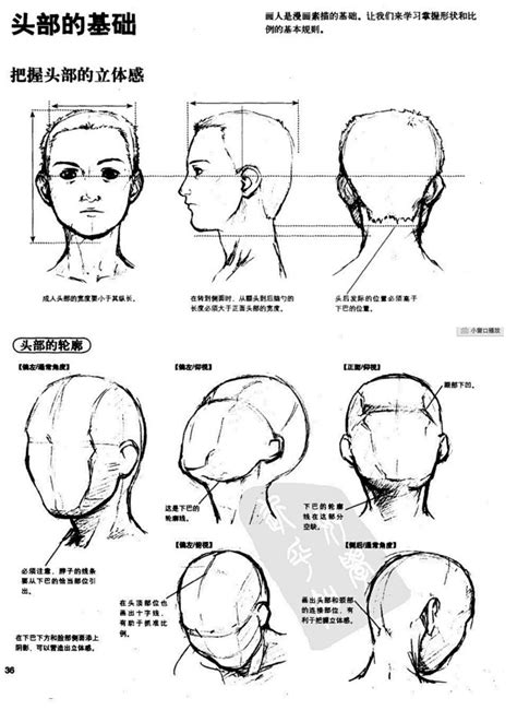 十字定位分析法學習區|十字定位